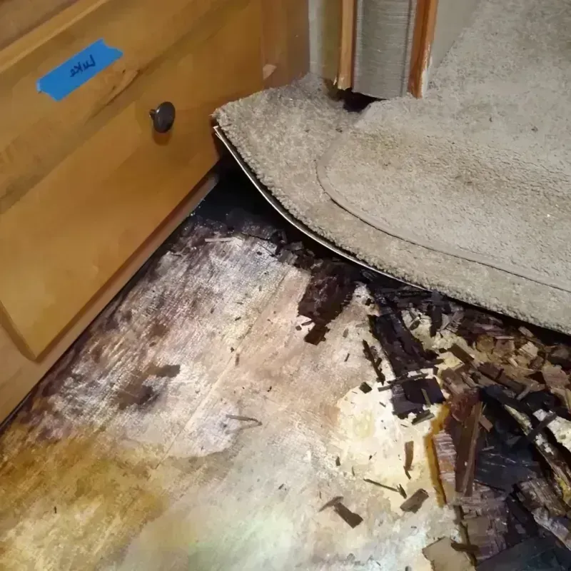 Wood Floor Water Damage in West Mountain, UT